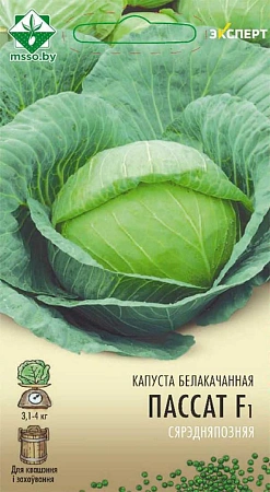 Капуста белокочанная Пассат F1, 12 шт (МССО) Капуста белокочанная Пассат F1, 12 шт (МССО)