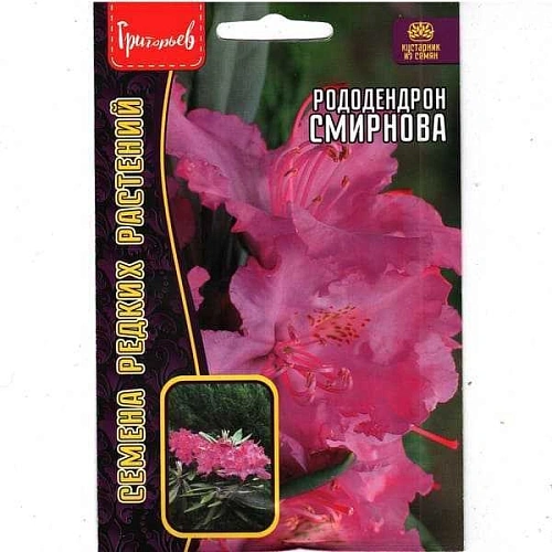 Рододендрон Смирнова, 10 шт (Ред сем) Рододендрон Смирнова, 10 шт (Ред сем)