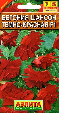 Бегония ампельная Шансон темно-красная F1, 10 шт Бегония ампельная Шансон темно-красная F1, 10 шт