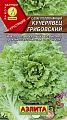 Салат Кучерявец грибовский полукочанный 0,5 г Салат Кучерявец грибовский полукочанный 0,5 г
