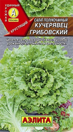 Салат Кучерявец грибовский полукочанный 0,5 г Салат Кучерявец грибовский полукочанный 0,5 г