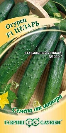 Огурец Цезарь F1, 10 шт (ГАВРИШ)