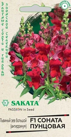 Львиный зев большой (Антирринум) Соната пунцовая F1 однолетник, 7 шт (SAKATA)