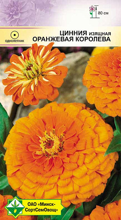 Цинния изящная Оранжевая королева, 0,5 г (МССО) Цинния изящная Оранжевая королева, 0,5 г (МССО)