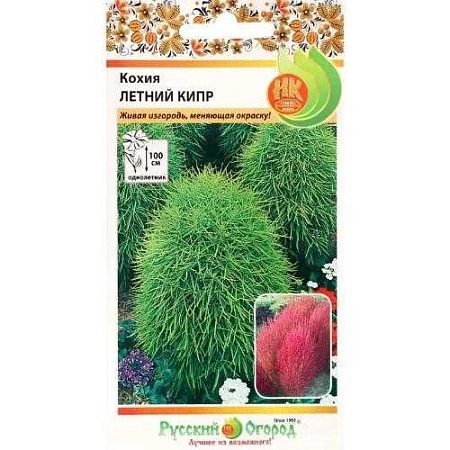 Кохия Летний Кипр однолетник, 0,3 г (НК)