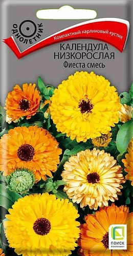 Календула Фиеста оранжевая низкорослая, 0,3 г (Поиск) Календула Фиеста оранжевая низкорослая, 0,3 г (Поиск)