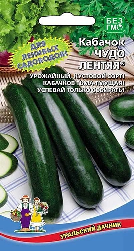 Кабачок Чудо лентяя (УД) Кабачок Чудо лентяя (УД)