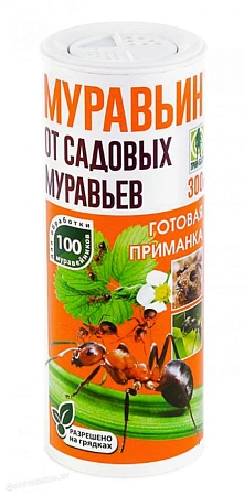 Муравьин Г, 300 г