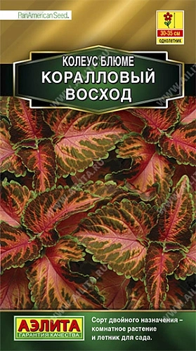 Колеус блюме Коралловый восход, 10 шт (АЭЛИТА) Колеус блюме Коралловый восход, 10 шт (АЭЛИТА)