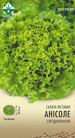 Салат Аннисоле листовой, 20 шт (МССО)