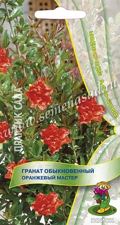 Гранат обыкновенный Оранжевый мастер, 5 шт Гранат обыкновенный Оранжевый мастер, 5 шт