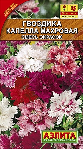 Гвоздика Капелла 0,5 г Гвоздика Капелла 0,5 г