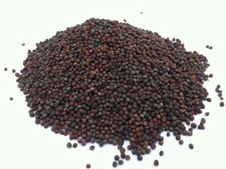 Сурепица 1 кг