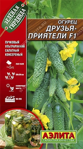 Огурец Друзья-Приятели F1, 10 шт (Аэлита) Огурец Друзья-Приятели F1, 10 шт (Аэлита)