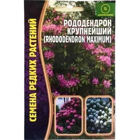 Рододендрон Крупнейший, 0,01 г (Ред сем)