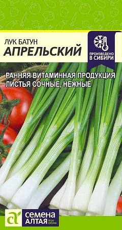 Лук Батун Апрельский, 1 г