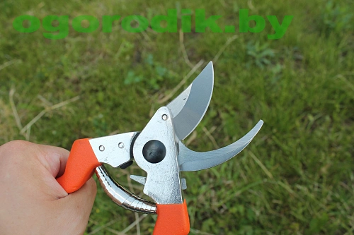 Секатор плоскостной 21 cm Hecht 421 Секатор плоскостной 21 cm Hecht 421