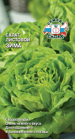 Салат Зима, 0,5 г (Седек) Салат Зима, 0,5 г (Седек)