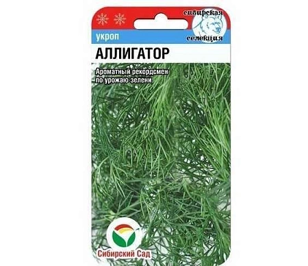 Укроп Аллигатор 1гр (Сиб Сад) Укроп Аллигатор 1гр (Сиб Сад)