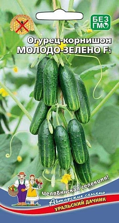 Огурец Молодо-зелено F1 (УД) Огурец Молодо-зелено F1 (УД)