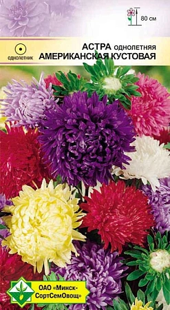 Астра Американская кустовая, смесь 0,3 г (МССО) Астра Американская кустовая, смесь 0,3 г (МССО)