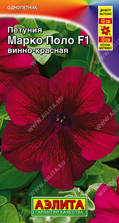 Петуния Марко Поло F1 винно-красная, 7 шт (Аэлита) Петуния Марко Поло F1 винно-красная, 7 шт (Аэлита)