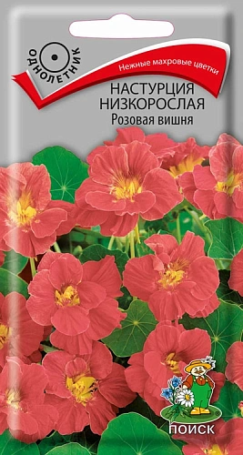 Настурция низкорослая Розовая вишня, 1 г Настурция низкорослая Розовая вишня, 1 г