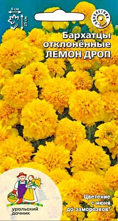 Бархатцы Лемон дроп отклоненные (УД) Бархатцы Лемон дроп отклоненные (УД)