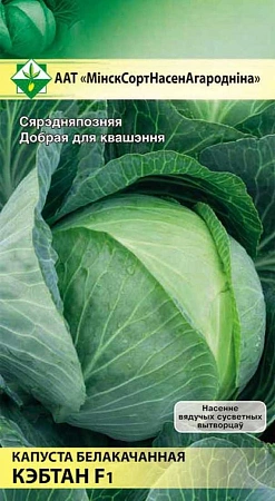 Капуста белокочанная Кэбтон F1, 15 шт (МССО)