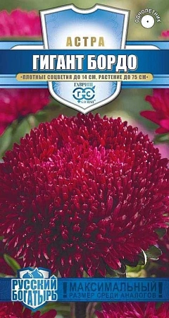 Астра Гигант бордо 0,05 г (ГАВРИШ) Астра Гигант бордо 0,05 г (ГАВРИШ)