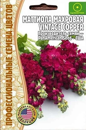 Маттиола Vintage Copper махровая однолетник, 5 шт (Ред.Сем)