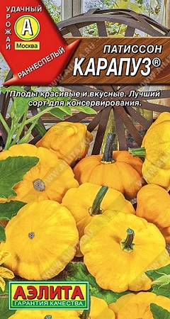 Патиссон Карапуз, 1 г (Аэлита)
