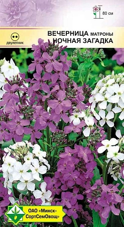 Вечерница Матроны Ночная Загадка 0,5 г (МССО) Вечерница Матроны Ночная Загадка 0,5 г (МССО)