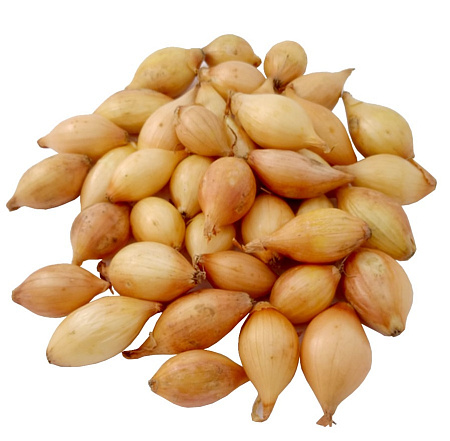 Лук-севок Сеншу Елоу, 1 кг