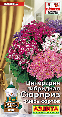 Цинерария гибридная Сюрприз, смесь сортов 30 шт (Аэлита) Цинерария гибридная Сюрприз, смесь сортов 30 шт (Аэлита)