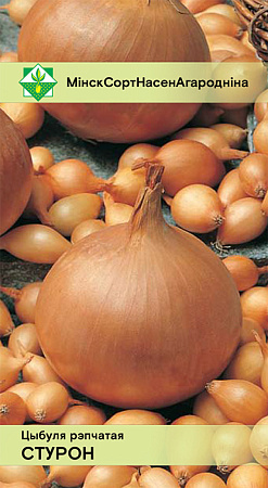 Лук репчатый Стурон, 0,5 г (МССО)