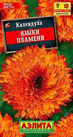 Календула Языки пламени, 0,5 г (Аэлита) Календула Языки пламени, 0,5 г (Аэлита)