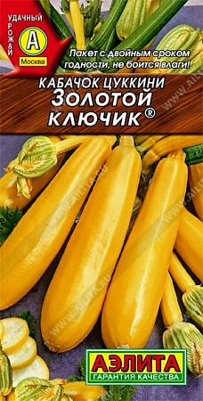 Кабачок цукини Золотой ключик, 1 г (АЭЛИТА)