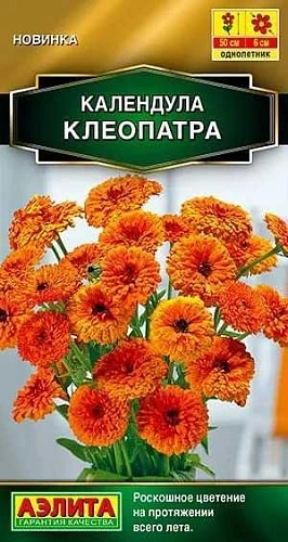 Календула Клеопатра, 0,3 г (Аэлита) Календула Клеопатра, 0,3 г (Аэлита)