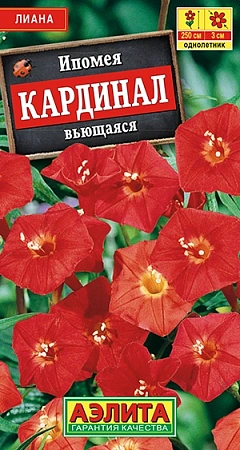 Ипомея Кардинал вьющаяся, 0,5 г Ипомея Кардинал вьющаяся, 0,5 г