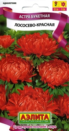 Астра Букетная лососево-красная 0,2 г (АЭЛИТА) Астра Букетная лососево-красная 0,2 г (АЭЛИТА)