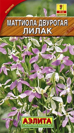 Маттиола двурогая Лилак, 0,5 г (Аэлита) Маттиола двурогая Лилак, 0,5 г (Аэлита)