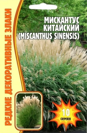Мискантус Китайский, 0,01 г (Ред сем)