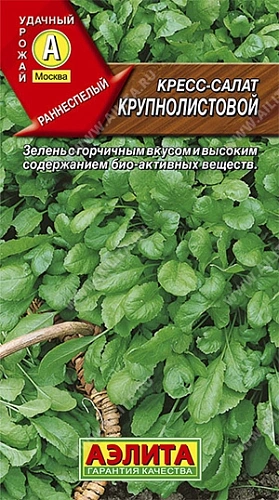 Кресс-салат Крупнолистовой, 1 г (АЭЛИТА) Кресс-салат Крупнолистовой, 1 г (АЭЛИТА)