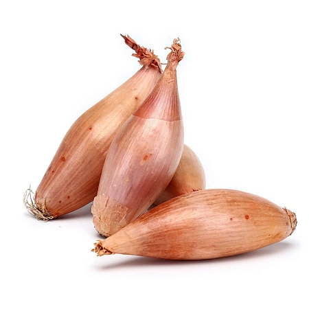 Лук шалот Лук шалот