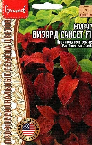 Колеус Визард Сансет F1, 5 шт (Ред.Сем) Колеус Визард Сансет F1, 5 шт (Ред.Сем)