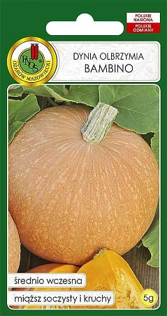 Тыква Бамбино, 5 г (PNOS)