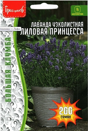 Лаванда узколистная Лиловая принцесса 200 шт (Ред сем) Лаванда узколистная Лиловая принцесса 200 шт (Ред сем)