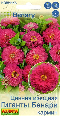 Цинния Гиганты Бенари кармин 7 шт (АЭЛИТА) Цинния Гиганты Бенари кармин 7 шт (АЭЛИТА)