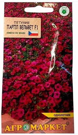 Петуния Парпл Вельвет F1, 7 шт (Агромаркет)